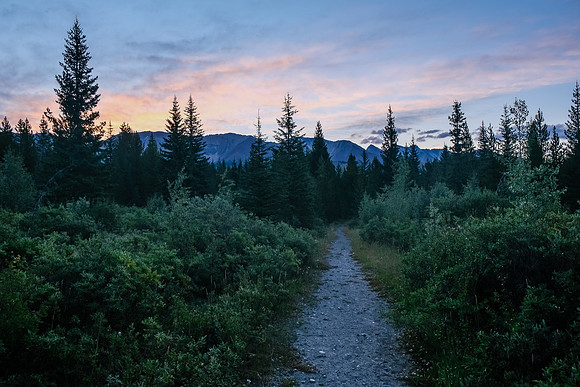 Early morning hiking on Flints Park trail.