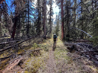 Hiking the Clearwater Trail from Indianhead Lodge to Malloch Meadows.