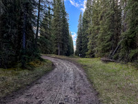 Biking the North Cutoff Creek Trail.