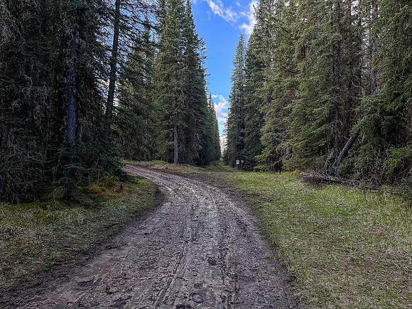 Biking the North Cutoff Creek Trail.