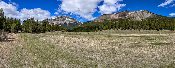 Biking the Clearwater Trail towards Harrison Flats.
