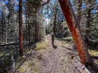 Hiking the Clearwater Trail from Malloch Meadows to Trident Lake.