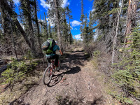 Biking the river flats along the Clearwater Trail.