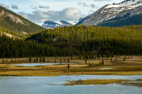 Views over Trident Lake towards Roaring Creek.