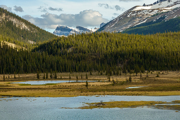 Views over Trident Lake towards Roaring Creek.