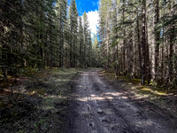 Biking the North Cutoff Creek Trail.
