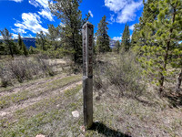 Biking the Clearwater Trail towards Harrison Flats. At the Lost Guide Lake junction.