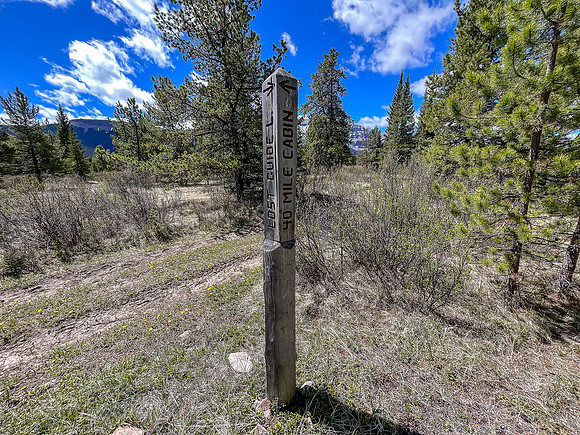 Biking the Clearwater Trail towards Harrison Flats. At the Lost Guide Lake junction.
