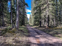 Biking the North Cutoff Creek Trail.