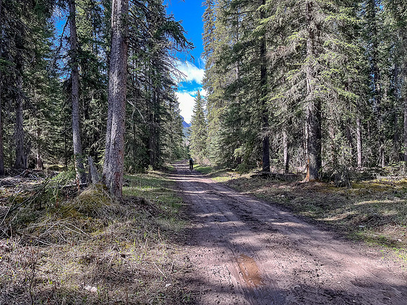 Biking the North Cutoff Creek Trail.
