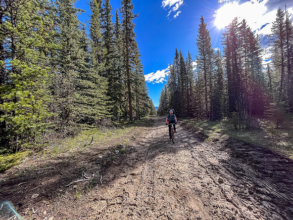 Biking the North Cutoff Creek Trail.