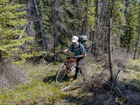 Taking a river bypass route along the Clearwater Trail to avoid 2 deep crossings.