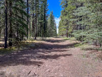 Biking the Clearwater Trail towards Harrison Flats.