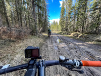 Biking the North Cutoff Creek Trail.