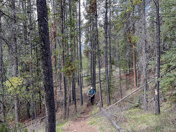 Navigating around two crossings of the Clearwater River to avoid a deep, fast channel.