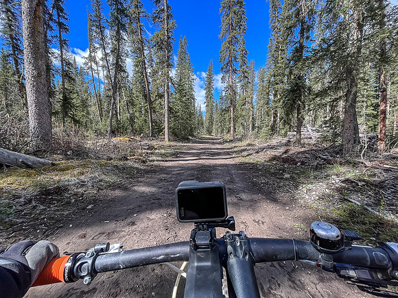 Biking the Clearwater Trail.