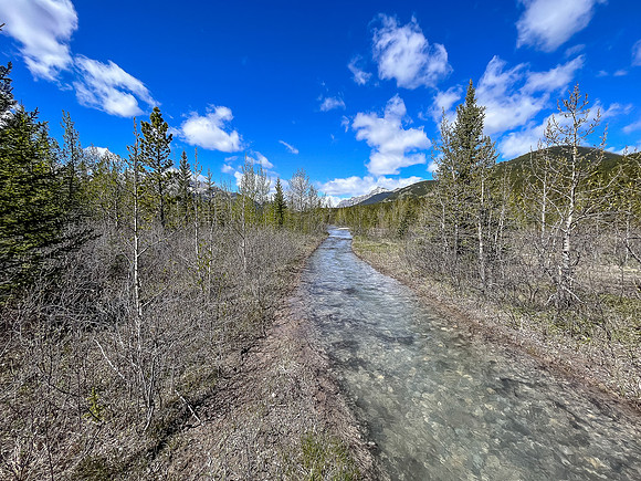 The Clearwater Trail is covered in running water.