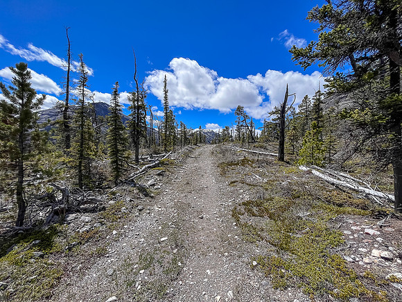 Biking the Clearwater Trail under Lost Guide Peak.