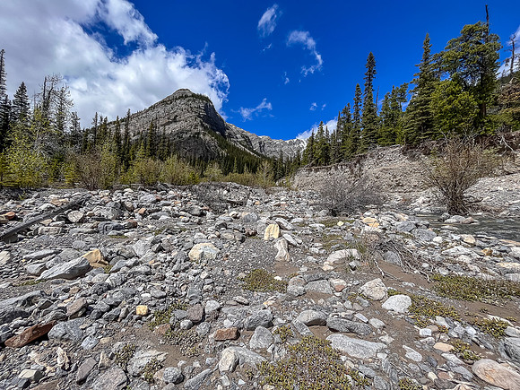 Hiking the Clearwater Trail between Lost Guide Peak and Indianhead Lodge.