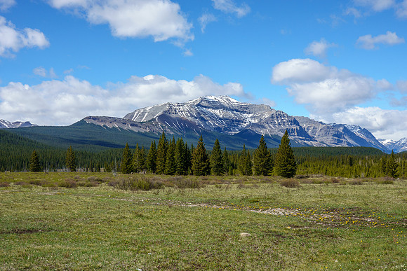 Forbidden Peak from the Forty Mile Meadows.