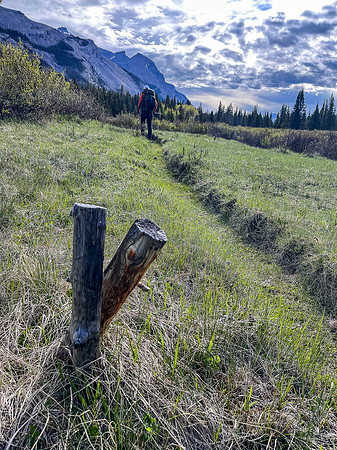 Hiking the Clearwater Trail from Malloch Creek to Lost Guide Creek.