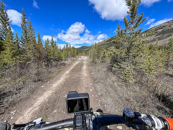 Biking the river flats along the Clearwater Trail.