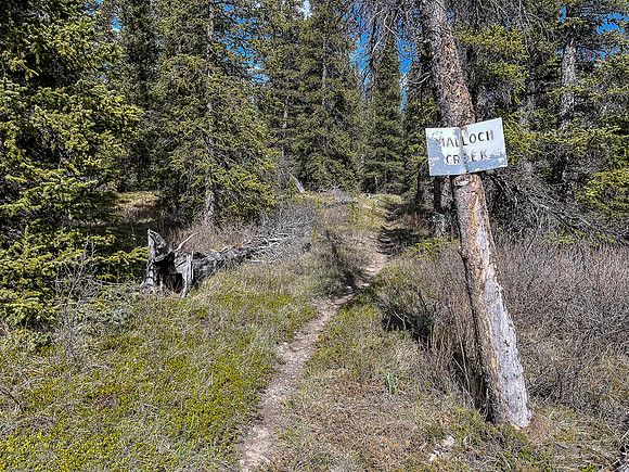 Hiking the Clearwater Trail from Indianhead Lodge to Malloch Meadows. At Malloch Creek.