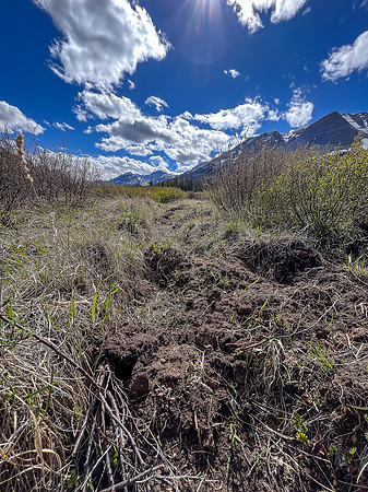 Hiking the Clearwater Trail from Malloch Meadows to Trident Lake.