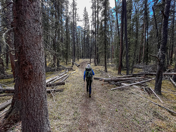 Hiking the Clearwater Trail from Indianhead Lodge to Malloch Meadows.