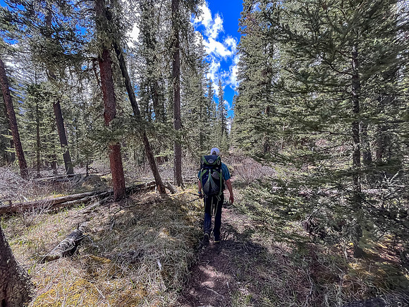 Hiking the Clearwater Trail between Lost Guide Peak and Indianhead Lodge.
