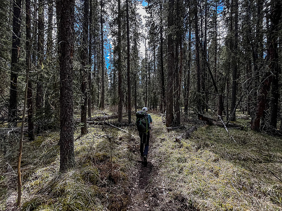 Hiking the Clearwater Trail between Lost Guide Peak and Indianhead Lodge.