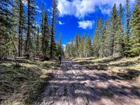 Biking the North Cutoff Creek Trail.