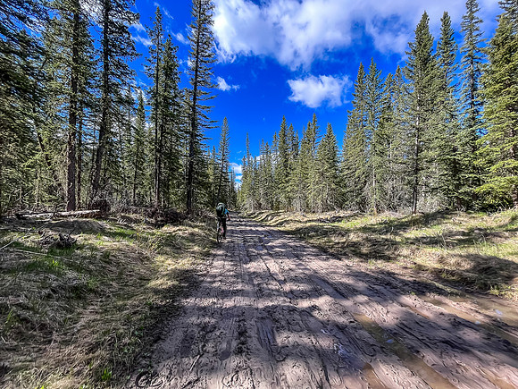 Biking the North Cutoff Creek Trail.