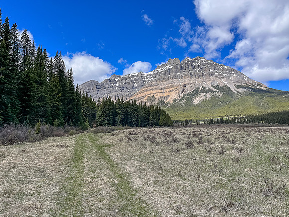 Biking the Clearwater Trail towards Lost Guide Peak.