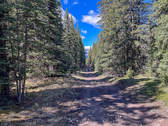Biking the Clearwater Trail.