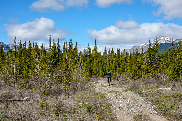 Biking the river flats along the Clearwater Trail.