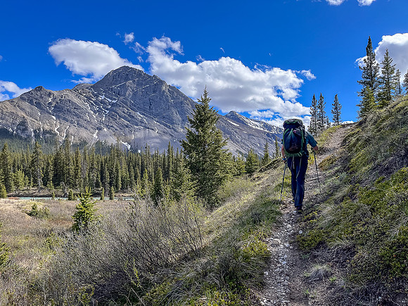 Hiking the Clearwater Trail from Malloch Meadows to Trident Lake.