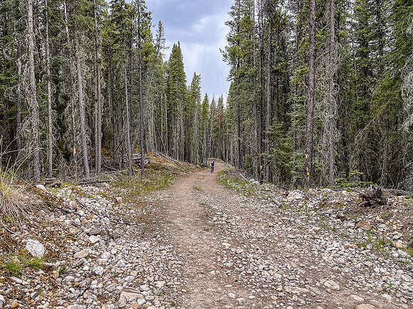 Biking the Clearwater Trail to the North Cutoff Creek Trail.