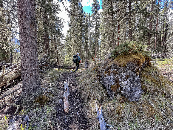 Hiking the Clearwater Trail between Lost Guide Peak and Indianhead Lodge.