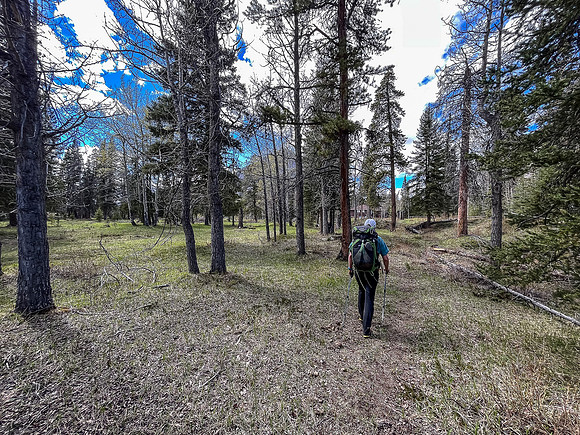 Hiking the Clearwater Trail between Lost Guide Peak and Indianhead Lodge.