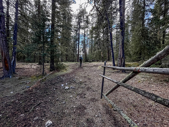 Hiking the Clearwater Trail between Lost Guide Peak and Indianhead Lodge. A horse camp.