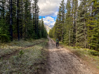 Biking the North Cutoff Creek Trail.