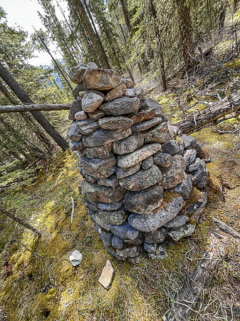 Hiking the Clearwater Trail between Lost Guide Peak and Indianhead Lodge. The old Banff boundary.