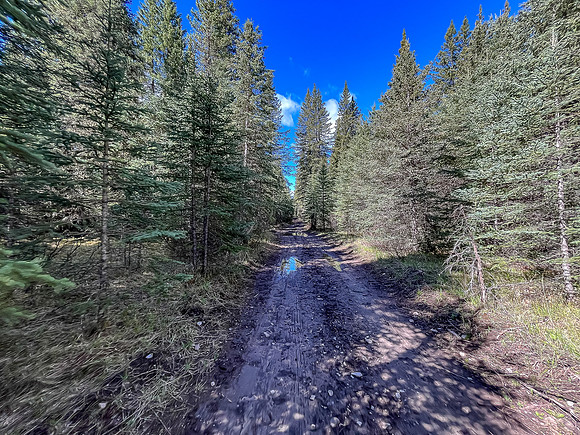 Biking the Clearwater Trail.