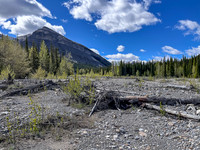 Biking the Clearwater Trail over the Forbidden Creek flats.