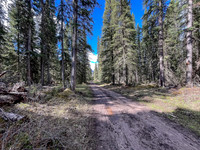 Biking the North Cutoff Creek Trail.