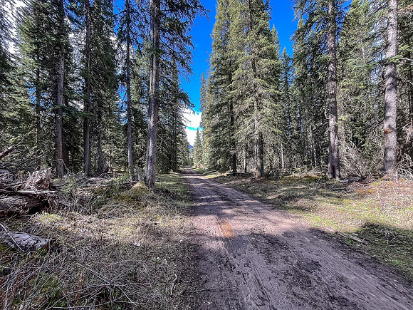 Biking the North Cutoff Creek Trail.
