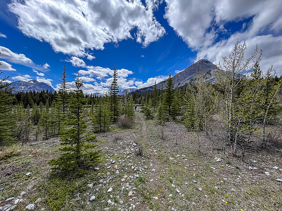 Hiking the Clearwater Trail from Indianhead Lodge to Malloch Meadows.