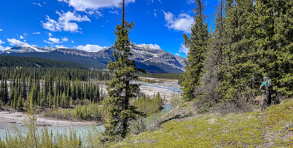 Bushwhacking our bikes along an escarpment over the Clearwater River to avoid a dangerous crossing at lower right. Forbidden Peak at center.
