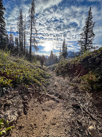 Hiking the Clearwater Trail from Trident Lake to Malloch Creek. Horse ruts.